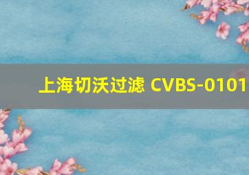 上海切沃过滤 CVBS-0101